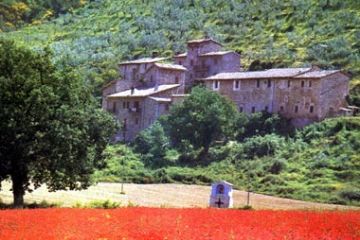 Costa di ulivi