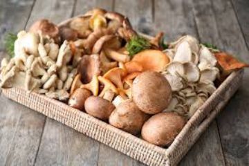 Cassetta di legno appoggiata su un tavolo rustico, contenente una varietà di funghi freschi. Tra i funghi si riconoscono diverse specie, con forme, colori e dimensioni differenti: ci sono funghi marroni, bianchi, arancioni e gialli, alcuni con cappello arrotondato, altri più frastagliati o arricciati. L’insieme trasmette un’idea di raccolta naturale e stagionale.