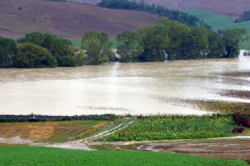 Paesaggio rurale colpito da un’alluvione. In primo piano si vedono campi coltivati, alcuni dei quali parzialmente sommersi dall’acqua. Al centro dell’immagine, una vasta area è completamente allagata, con l’acqua che ha ricoperto terreni agricoli e strade. Sullo sfondo, una fila di alberi segna il confine dell’area alluvionata, oltre la quale si intravedono colline coltivate e pendii. Il cielo non è visibile, ma l’atmosfera suggerisce condizioni meteorologiche recenti di pioggia intensa.