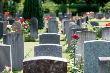 Nell’immagine si vede un cimitero all’aperto in una giornata luminosa. In primo piano ci sono diverse lapidi in pietra grigia, disposte in file ordinate su un prato verde. Tra le tombe spuntano rose rosse e altri fiori colorati, alcuni piantati nel terreno accanto alle lapidi. Sullo sfondo si intravedono alberi alti e altra vegetazione, che creano un’atmosfera tranquilla e curata.