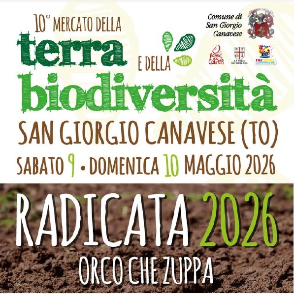 Locandina promozionale con sfondo chiaro e dettagli verdi e marroni. In alto si legge: “10° Mercato della terra e della biodiversità”. Sotto: “San Giorgio Canavese (TO)”. Più in basso sono indicate le date: “Sabato 9 – Domenica 10 maggio 2026”. Nella parte inferiore, su uno sfondo che richiama il terreno, compare il titolo grande “Radicata 2026” e la frase “Orco che zuppa”. In alto a destra sono presenti gli stemmi e i loghi degli enti organizzatori, tra cui il Comune di San Giorgio Canavese e altre associazioni.